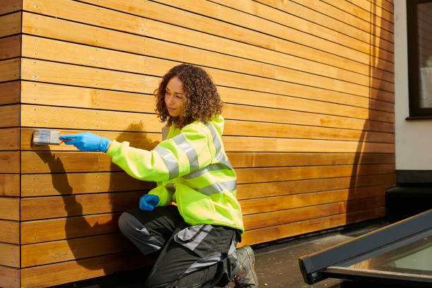 Best Vinyl Siding Installation  in Quinnesec, MI